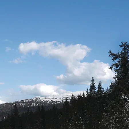 Cozy In With Sauna Holiday home Sjusjoen
